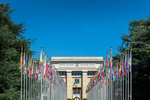 UN Flags